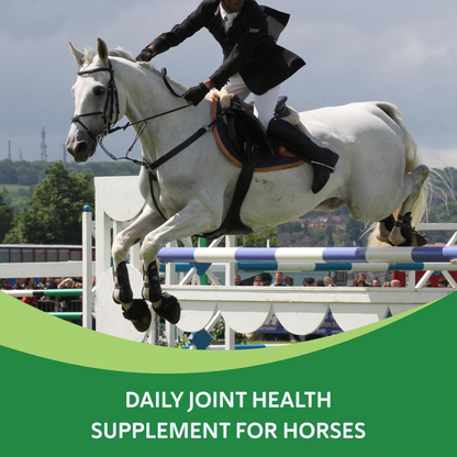 Comfort Quik w/ Hemp Joint Health & Mobility Supplement for Horses