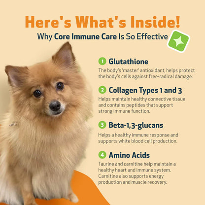 CORE IMMUNE CARE Daily Antioxidant and Nutritional Supplement for Dogs and Cats (3.7 oz)