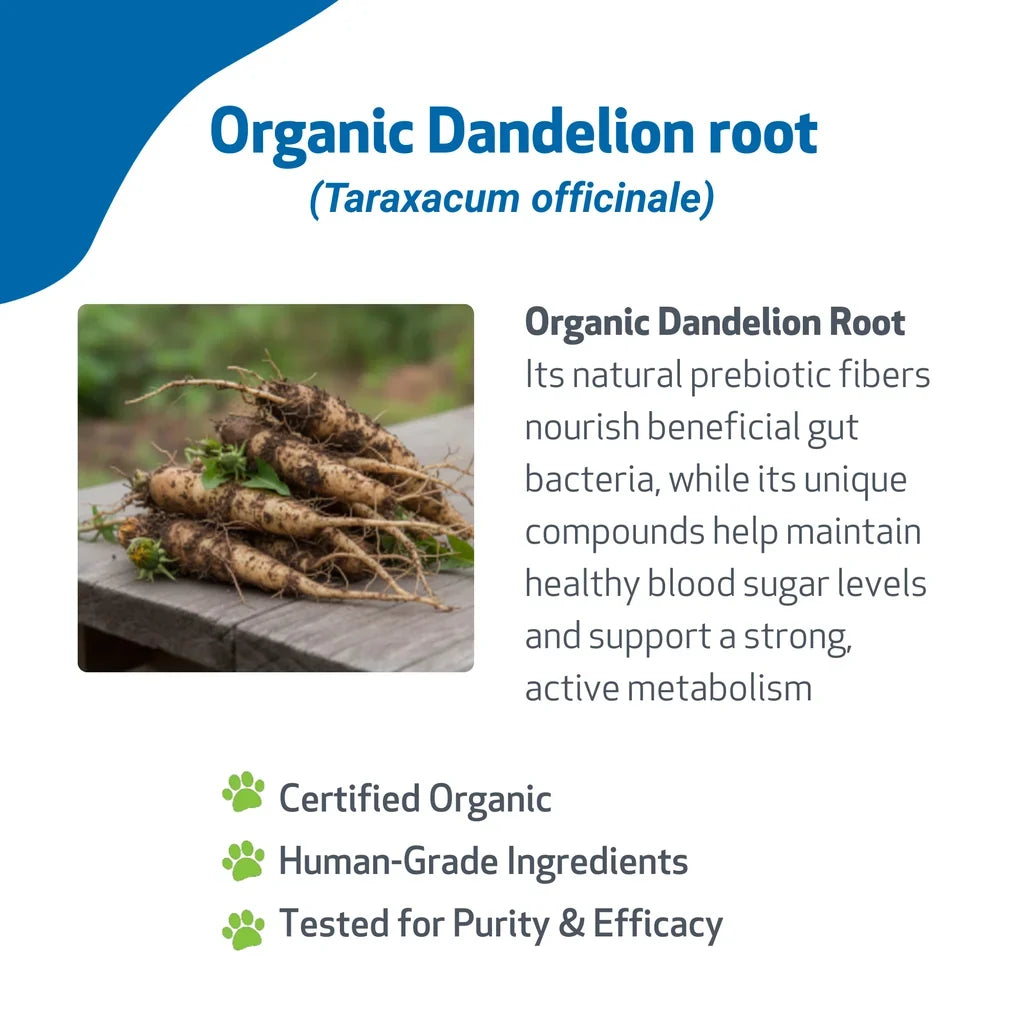 Dandelion Root Digestive & Liver Support for Cats, 2-oz
