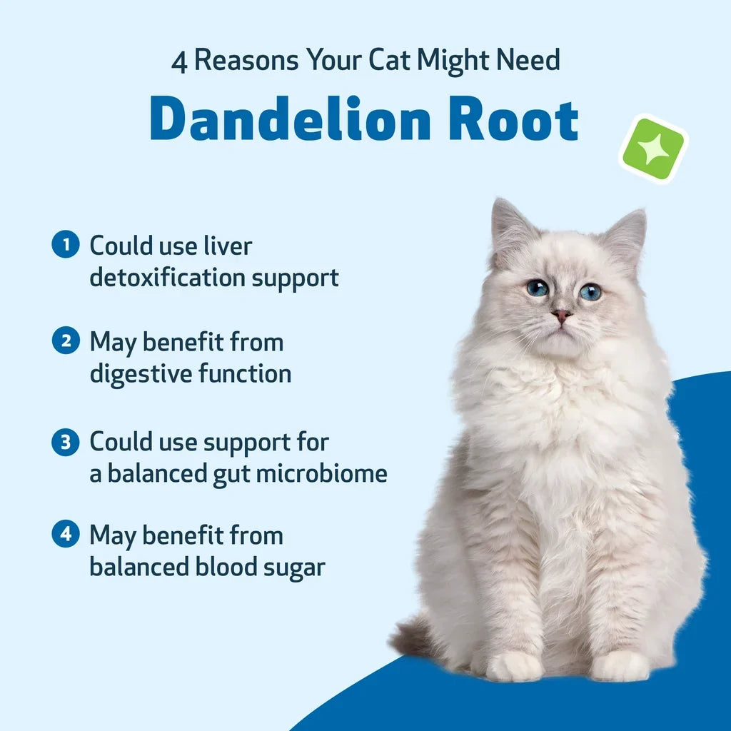 Dandelion Root Digestive & Liver Support for Cats, 2-oz