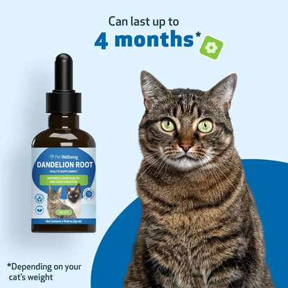 Dandelion Root Digestive & Liver Support for Cats, 2-oz