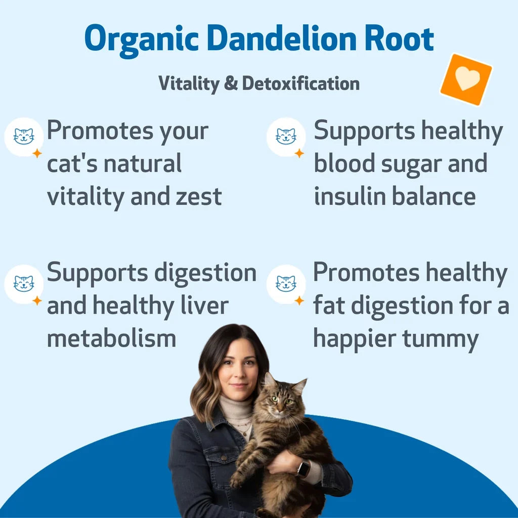 Dandelion Root Digestive & Liver Support for Cats, 2-oz