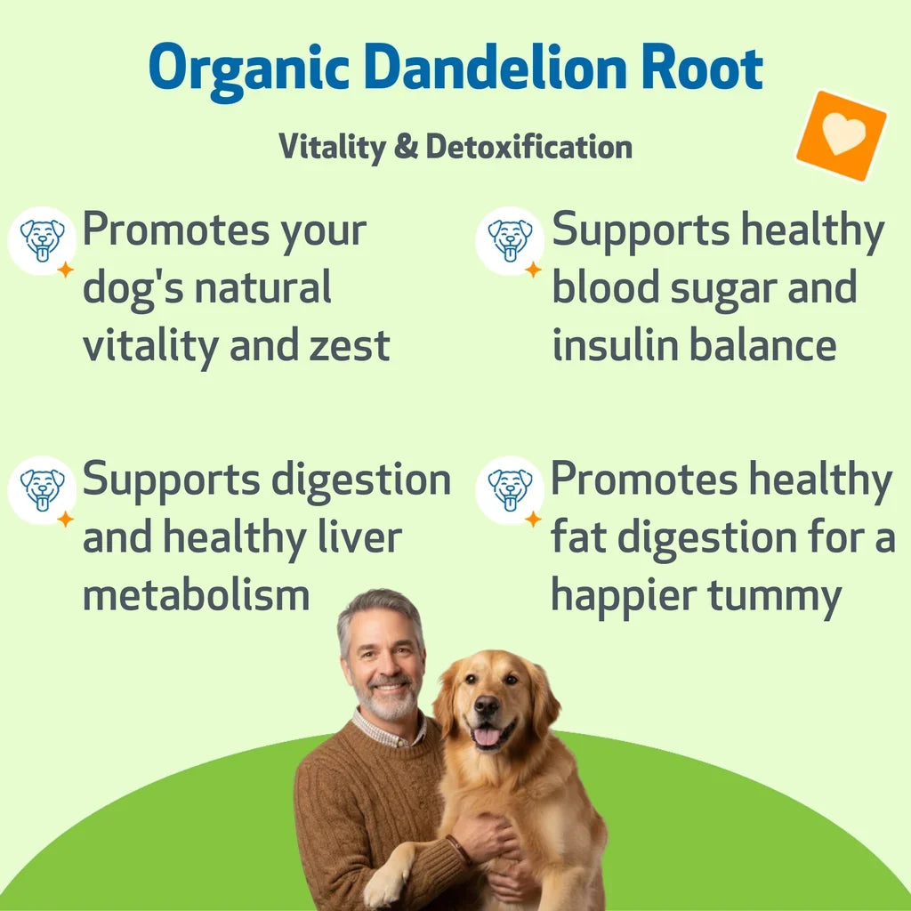 Dandelion Root Digestive & Liver Support for Dogs