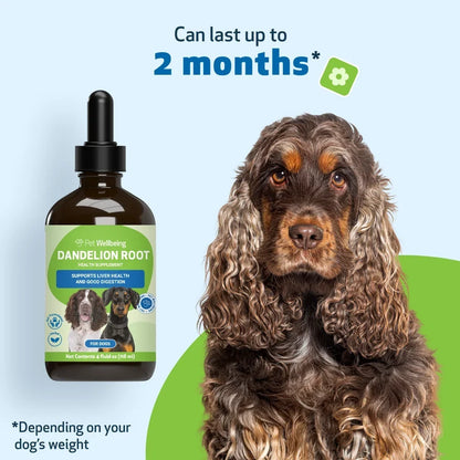 Dandelion Root Digestive & Liver Support for Dogs