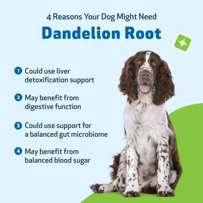 Dandelion Root Digestive & Liver Support for Dogs