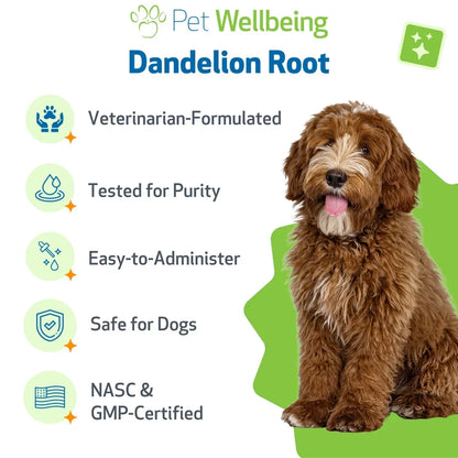Dandelion Root Digestive & Liver Support for Dogs