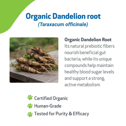 Dandelion Root Digestive & Liver Support for Dogs