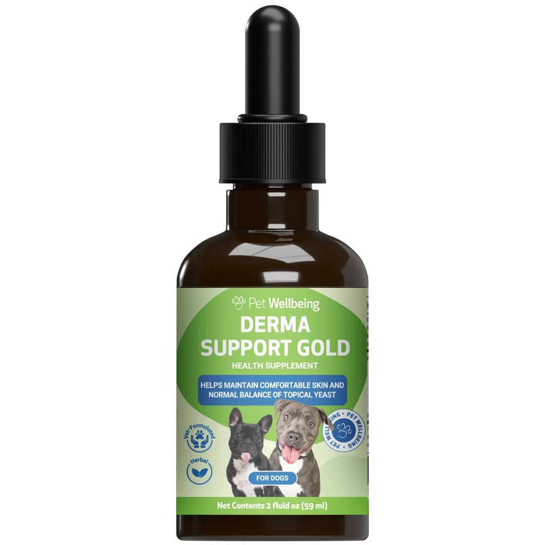 Derma Support Gold for Dogs Healthy Coat, Odor & Itching (2 oz)