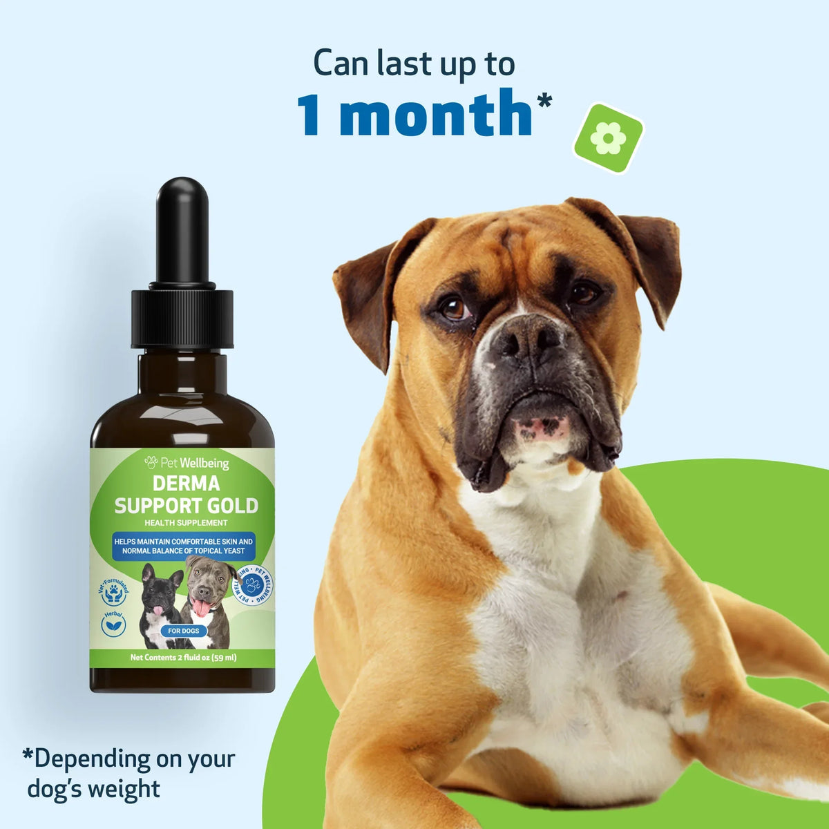 Derma Support Gold for Dogs Healthy Coat, Odor & Itching (2 oz)