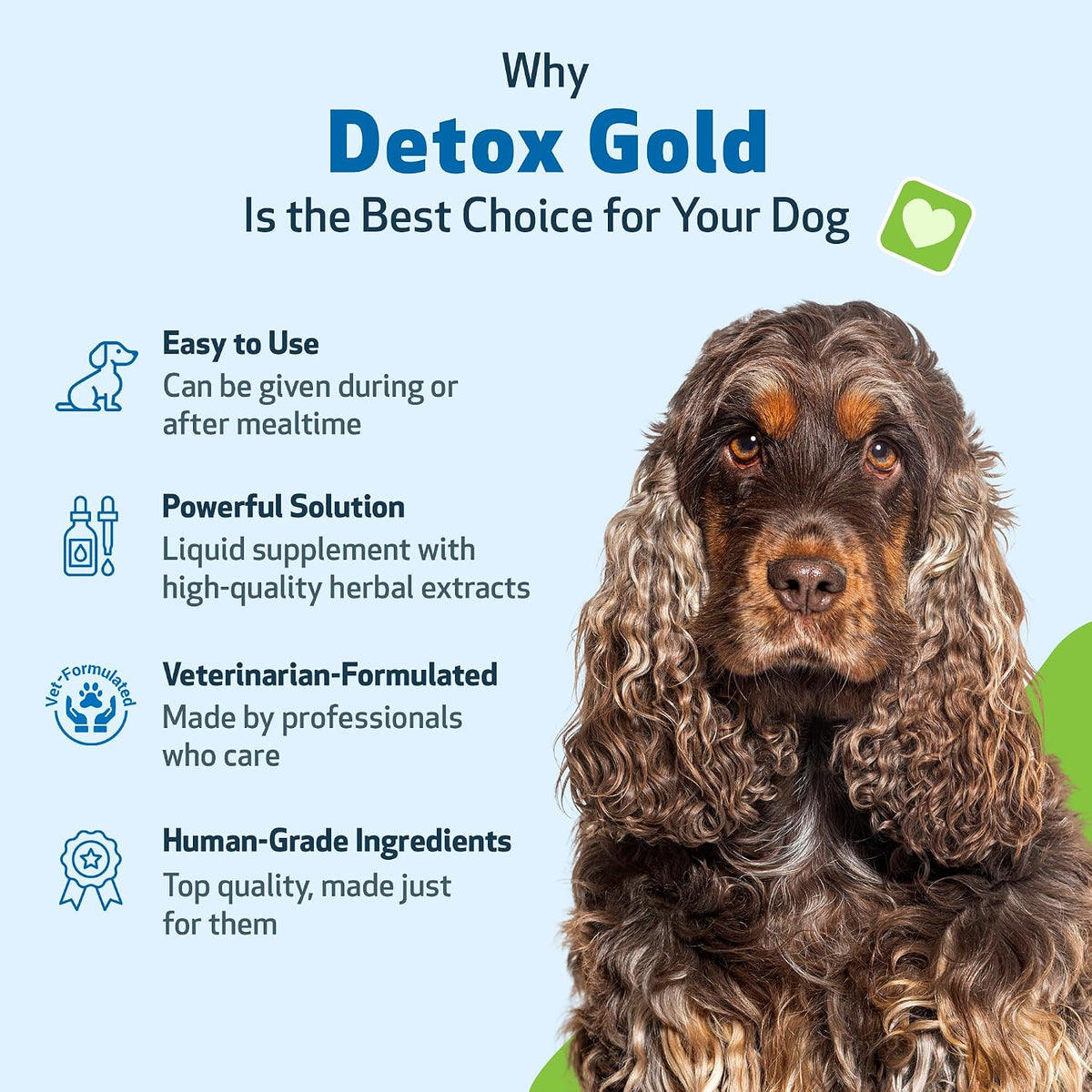 Detox Gold for Dogs - Gentle Detoxification & Elimination Support