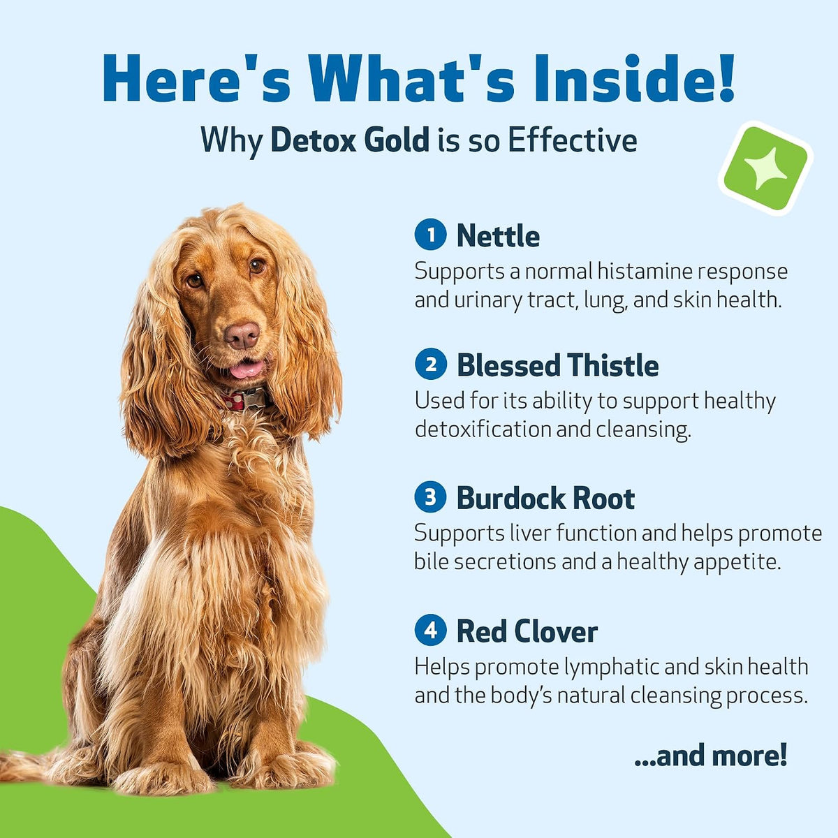 Detox Gold for Dogs - Gentle Detoxification & Elimination Support