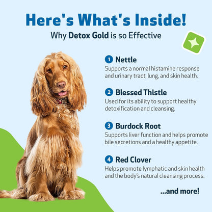 Detox Gold for Dogs - Gentle Detoxification & Elimination Support