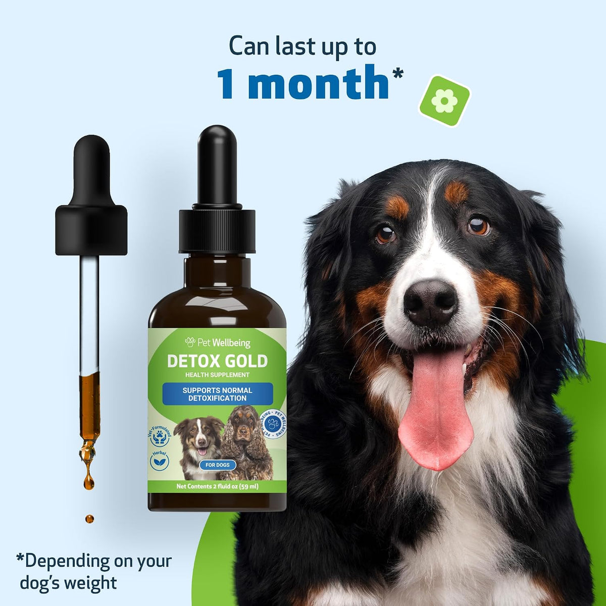 Detox Gold for Dogs - Gentle Detoxification & Elimination Support