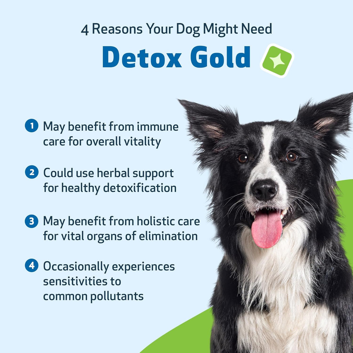 Detox Gold for Dogs - Gentle Detoxification & Elimination Support