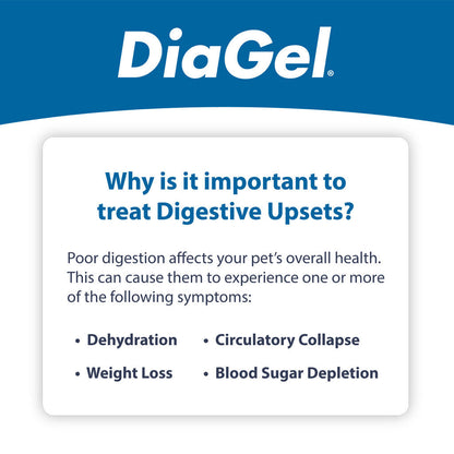 DiaGel Anti-Diarrheal Gel for Horses (30 ml)