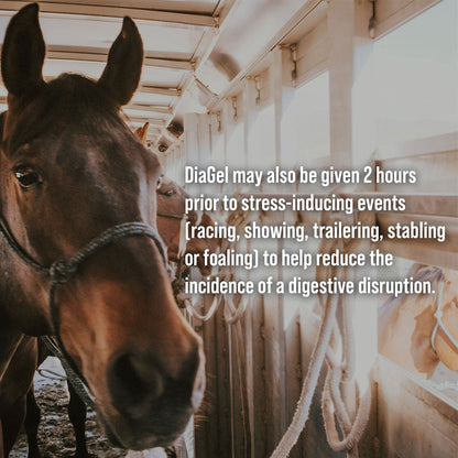 DiaGel Anti-Diarrheal Gel for Horses (30 ml)