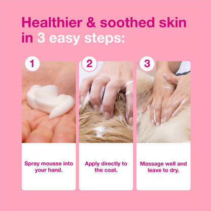 Douxo S3 CALM Soothing Itchy, Hydrated Skin Dog & Cat Mousse (5.1 oz)