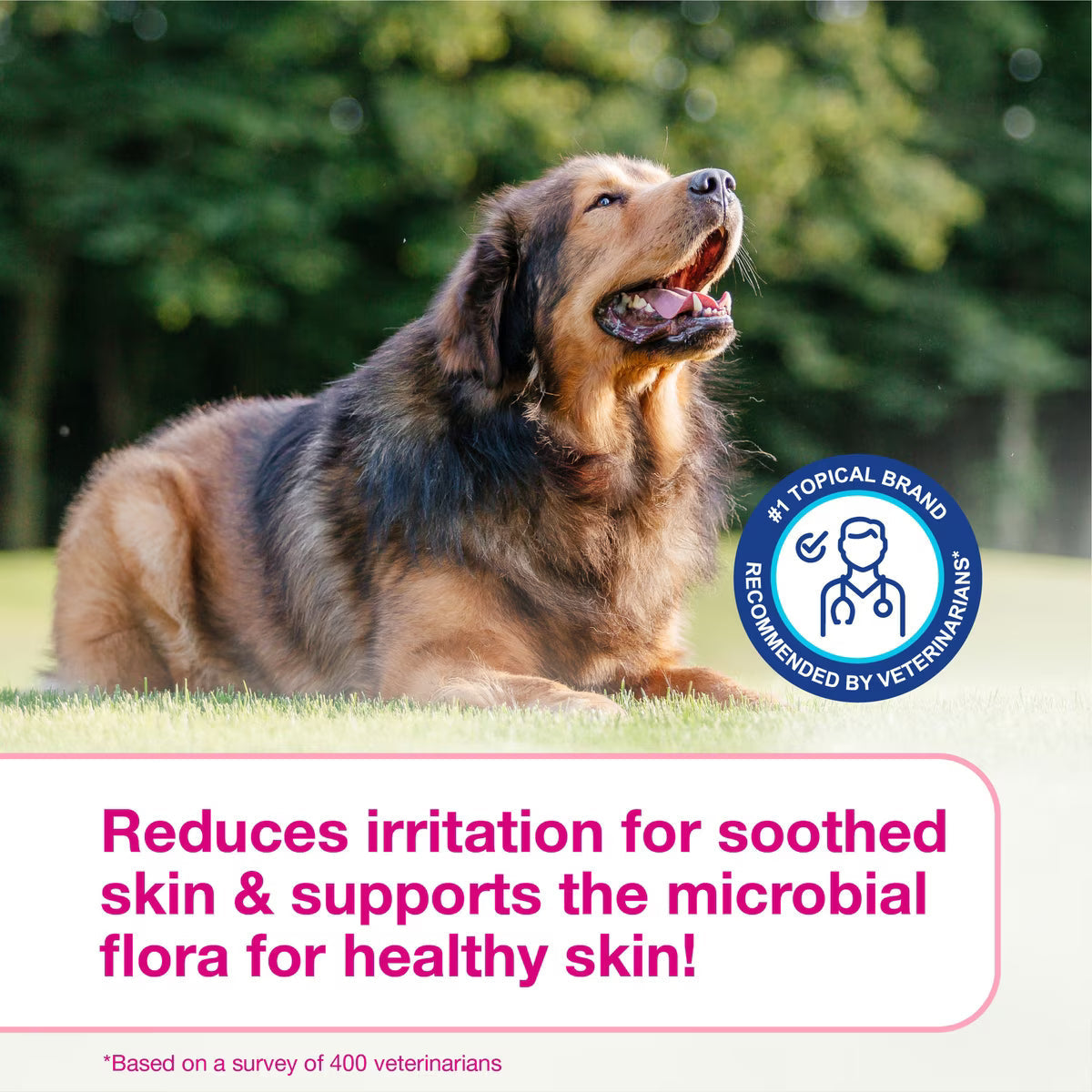 Douxo S3 CALM Soothing Itchy, Hydrated Skin Dog & Cat Mousse (5.1 oz)