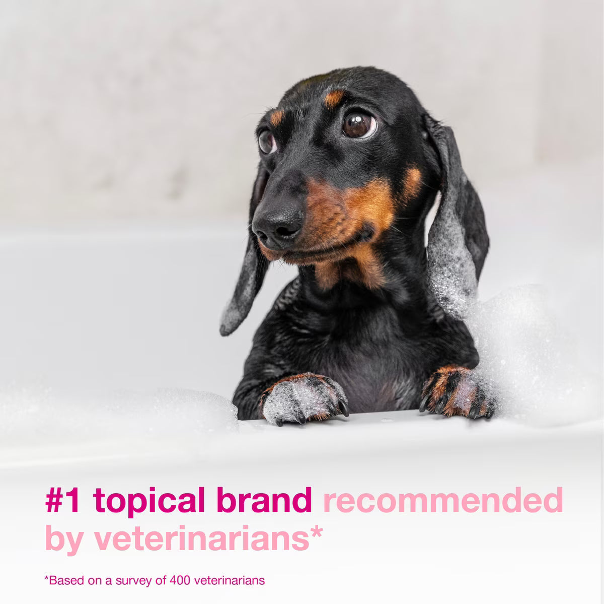 Douxo S3 CALM Soothing Itchy, Hydrated Skin Dog & Cat Shampoo