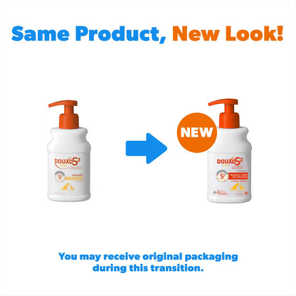 Douxo S3 PYO Antiseptic Antifungal Chlorhexidine Dog & Cat Shampoo