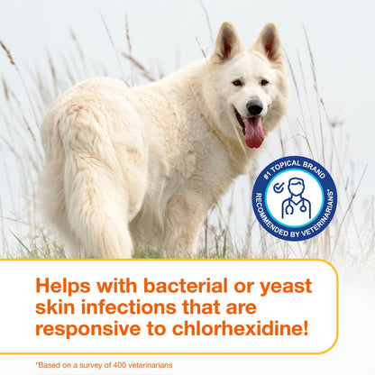 Douxo S3 PYO Antiseptic Antifungal Chlorhexidine Dog & Cat Shampoo