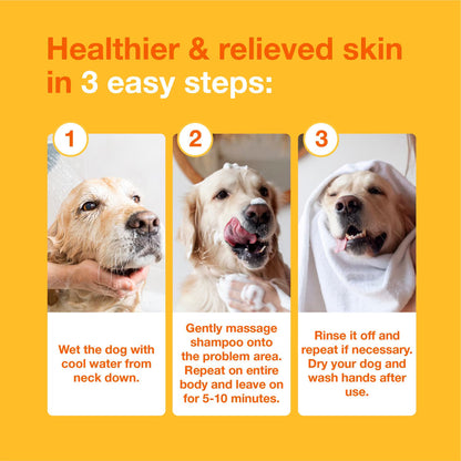 Douxo S3 PYO Antiseptic Antifungal Chlorhexidine Dog & Cat Shampoo