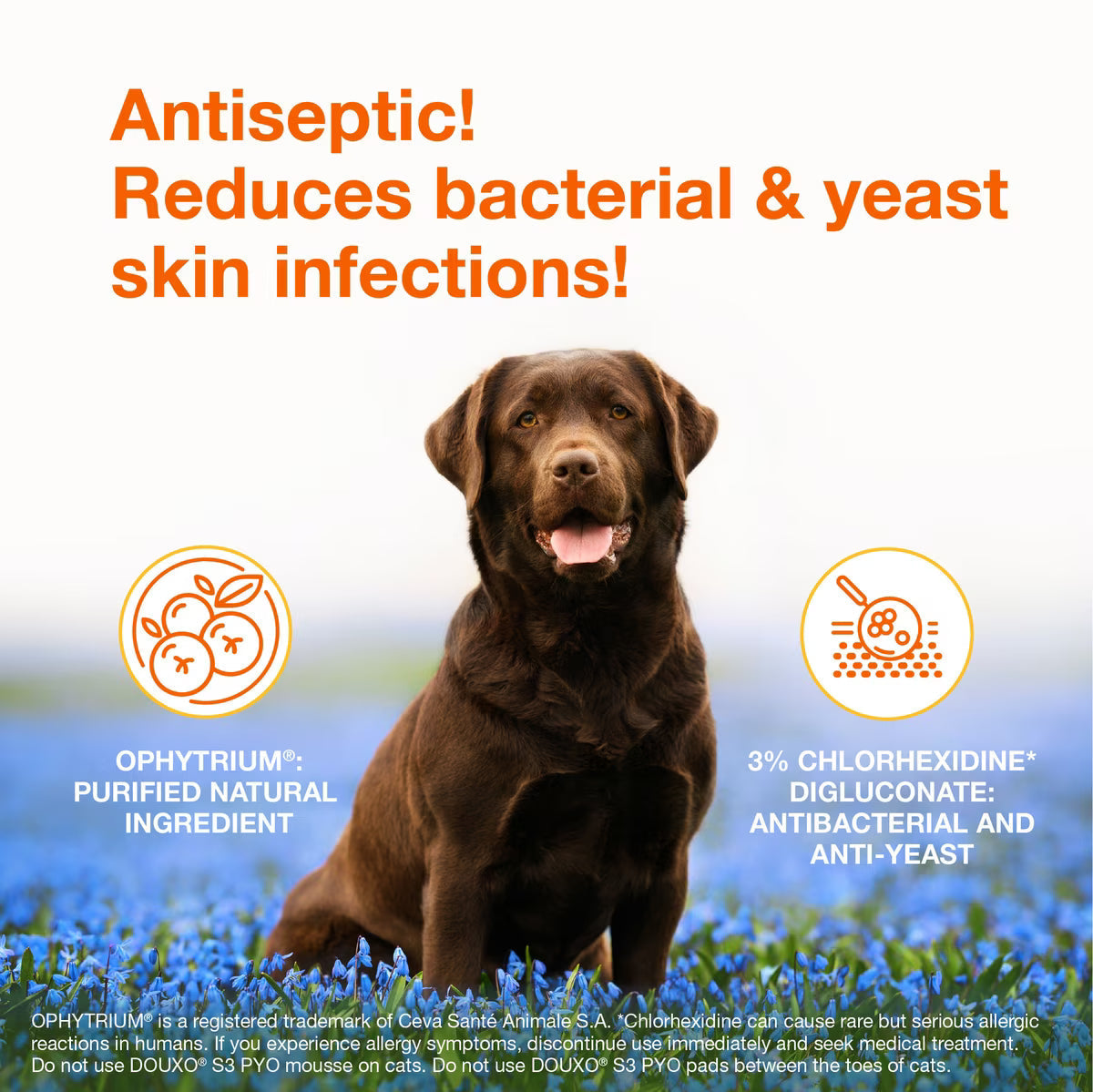 Douxo S3 PYO Antiseptic Antifungal Chlorhexidine Dog & Cat Wipes