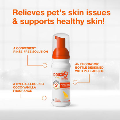 Douxo S3 PYO Antiseptic Antifungal Chlorhexidine Dog Mousse (5.1 oz)