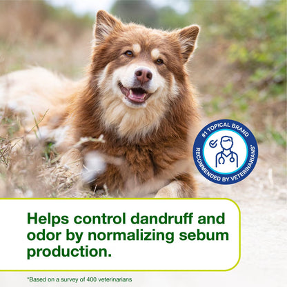 Douxo S3 SEB Odor-Control Seboregulating Dog & Cat Mousse (5.1 oz)