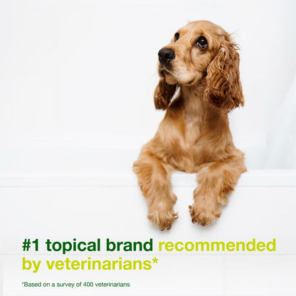 Douxo S3 SEB Odor-Control Seboregulating Dog & Cat Shampoo