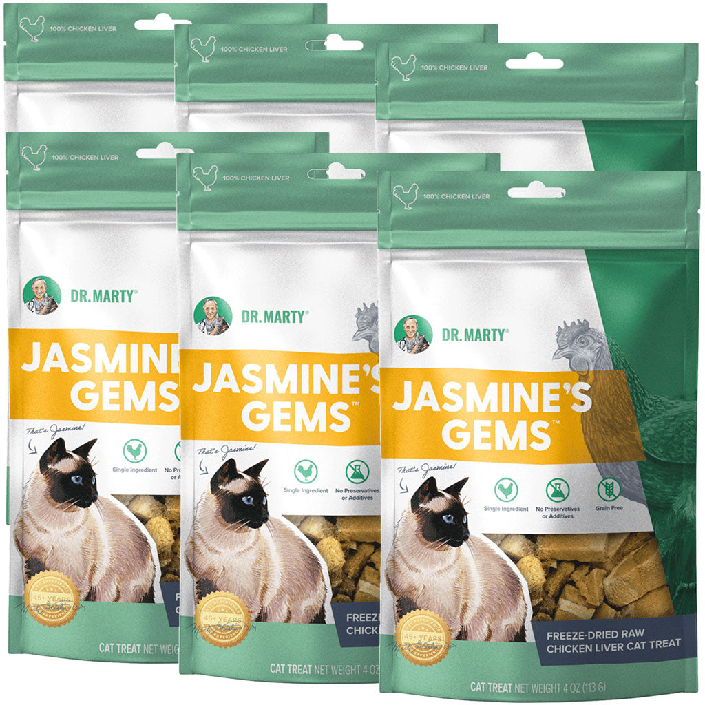 Dr. Marty Jasmine's Gems Freeze-Dried Raw Chicken Liver Cat Treats, 4oz