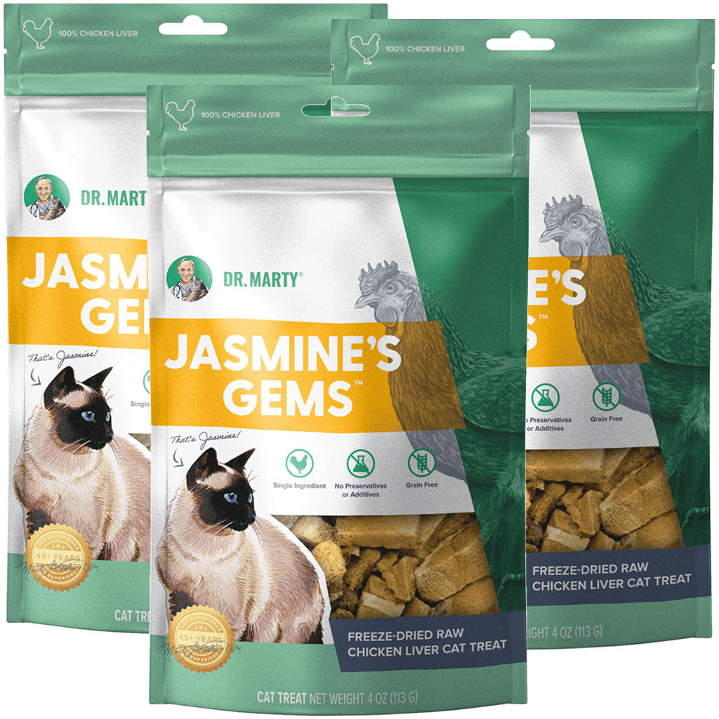 Dr. Marty Jasmine's Gems Freeze-Dried Raw Chicken Liver Cat Treats, 4oz