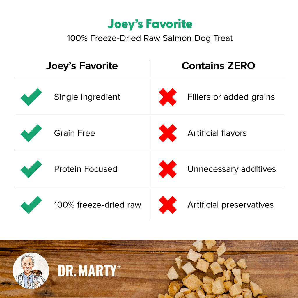 Dr. Marty Joey’s Favorite Freeze Dried Raw Salmon Dog Treats