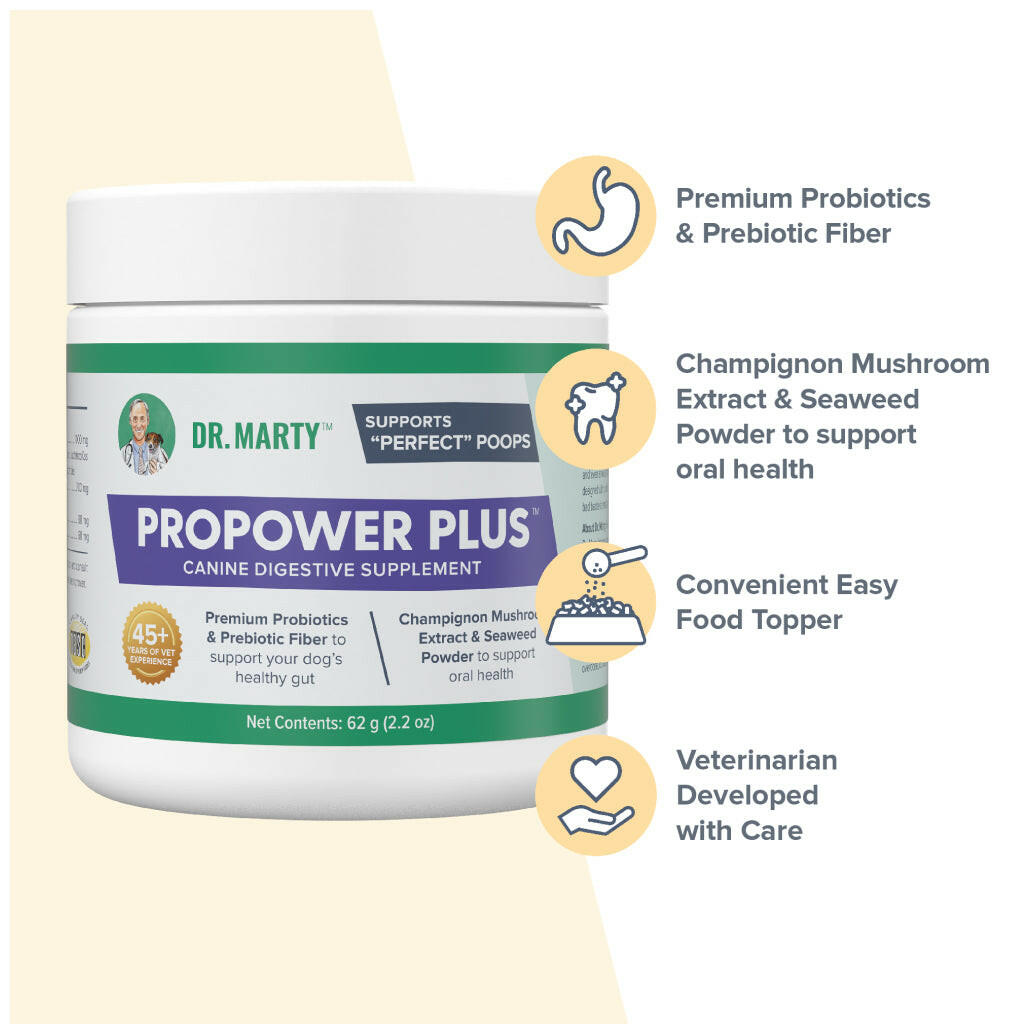 Dr. Marty ProPower Plus Canine Digestive Support Powder for Dogs, 2.2 oz