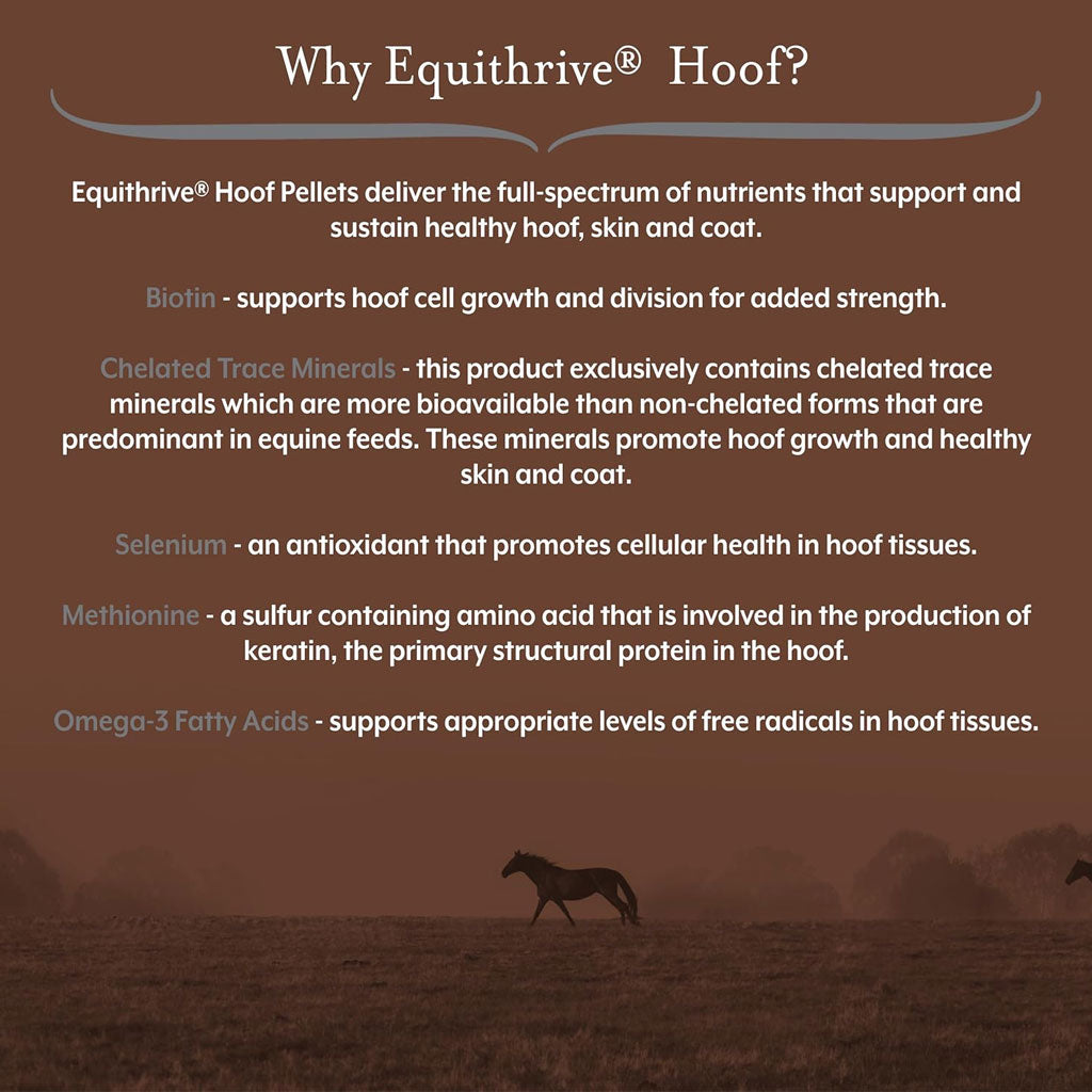 Equithrive Hoof Pellets Horse Supplements