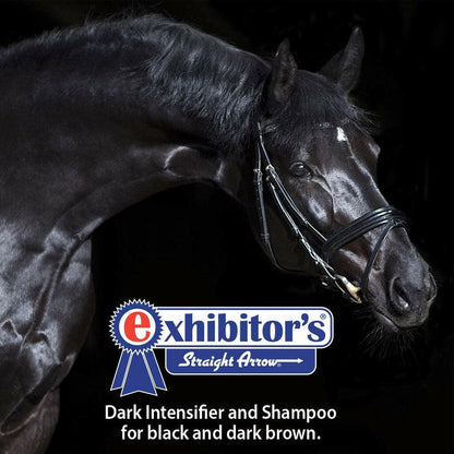 Exhibitor's Quic Black Dark Intensifier Shampoo for Horses