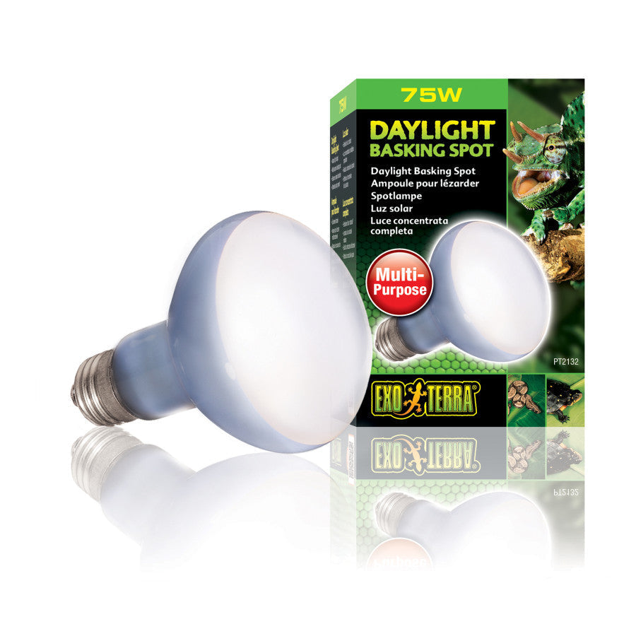Exo Terra Basking Spot Lamp