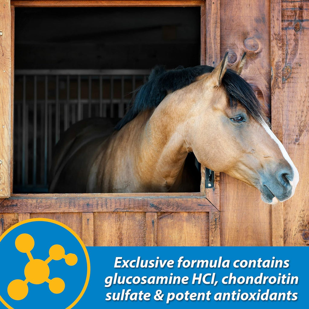 Farnam Fluidflex Liquid Joint Supplement for Horses