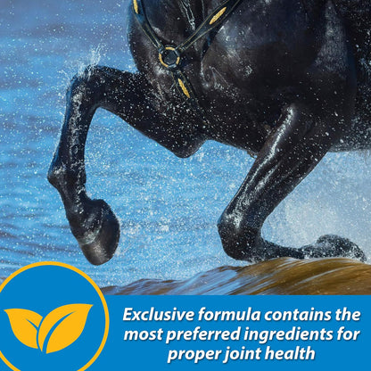 Farnam Fluidflex Liquid Joint Supplement for Horses