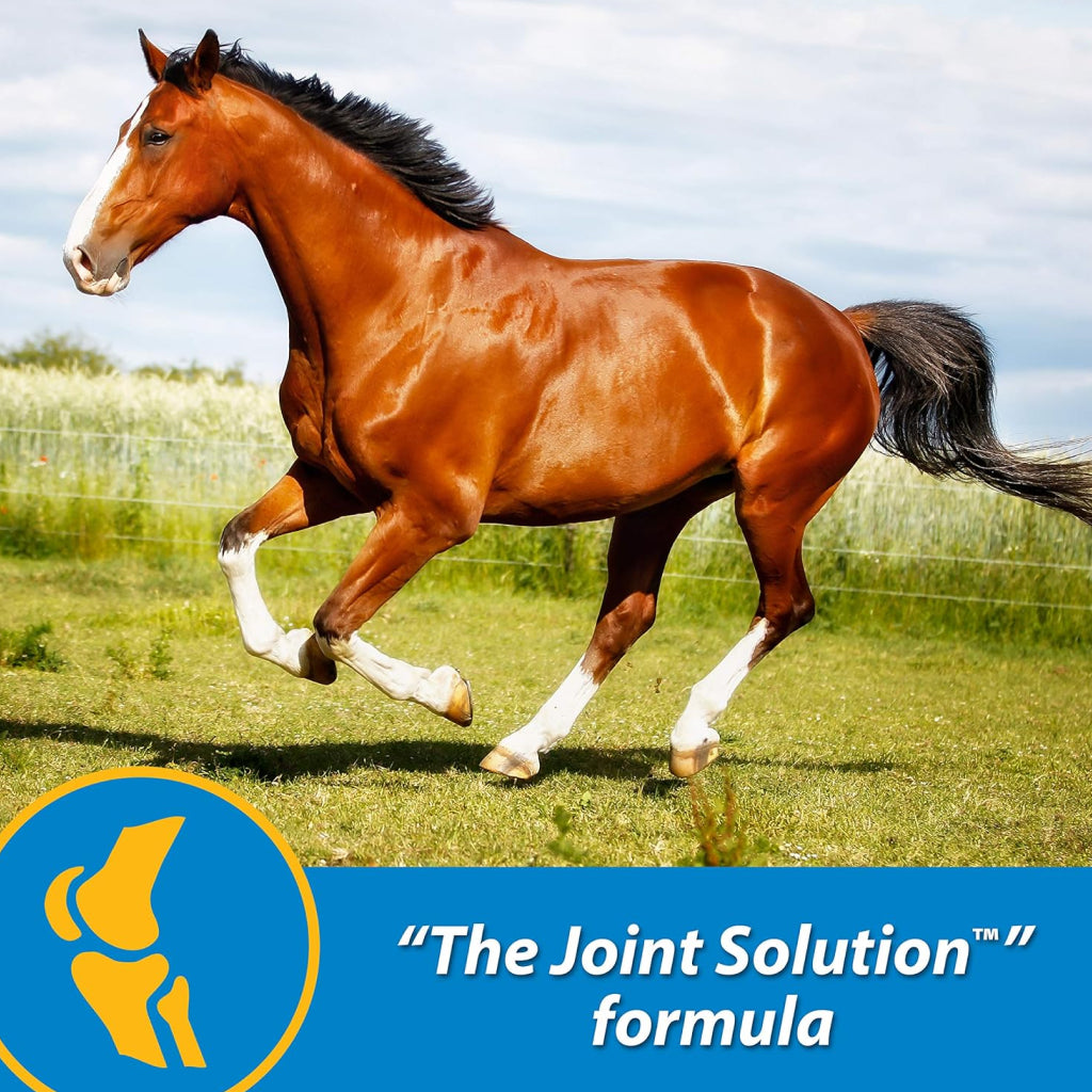Farnam Fluidflex Liquid Joint Supplement for Horses