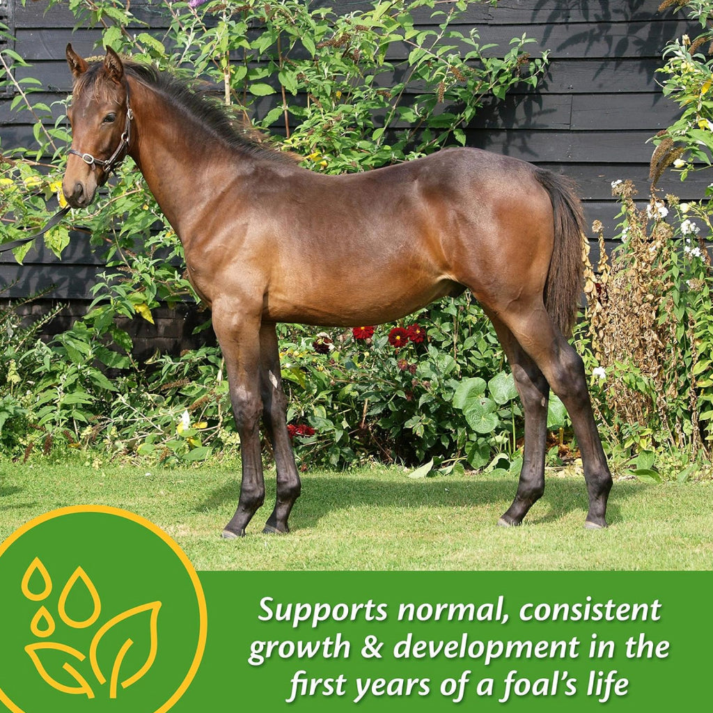Farnam Grow Colt Growth & Development Horse Supplement