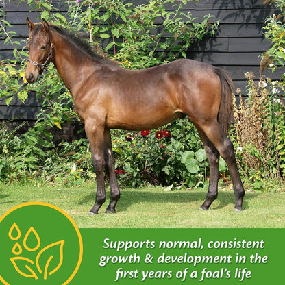 Farnam Grow Colt Growth & Development Horse Supplement