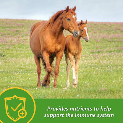Farnam Grow Colt Growth & Development Horse Supplement