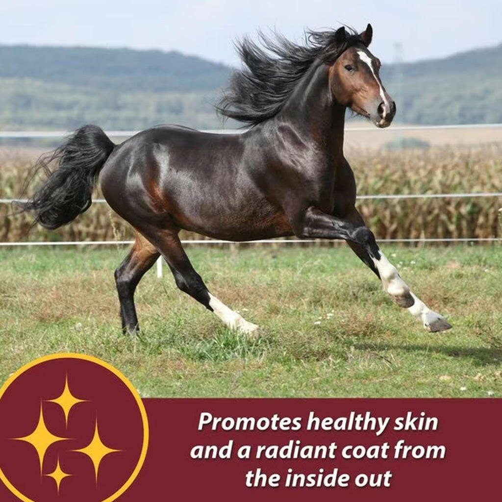 Farnam Laser Sheen Skin  & Coat Supplement For Horses