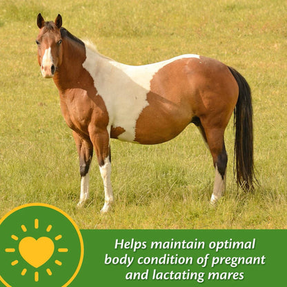 Farnam Mare Plus Gestation & Lactation Supplement for Horses