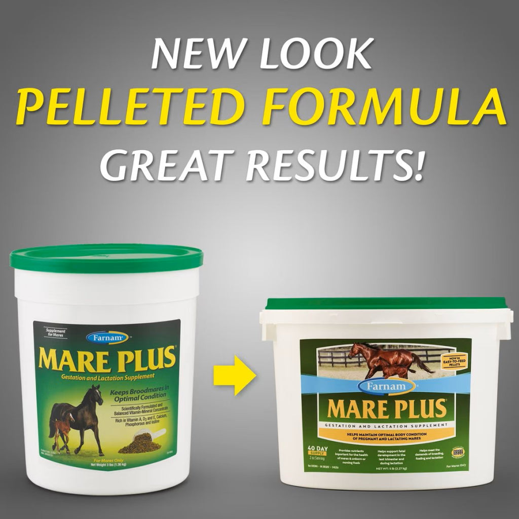 Farnam Mare Plus Gestation & Lactation Supplement for Horses