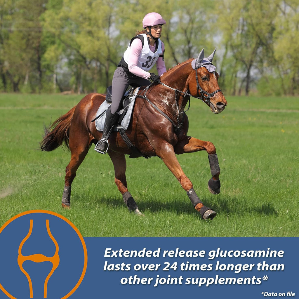 Farnam MaxFlex XR Extended Release Joint Supplement for Horses (30 day supply)