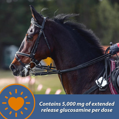 Farnam MaxFlex XR Extended Release Joint Supplement for Horses (30 day supply)