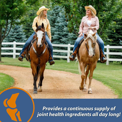 Farnam MaxFlex XR Extended Release Joint Supplement for Horses (30 day supply)