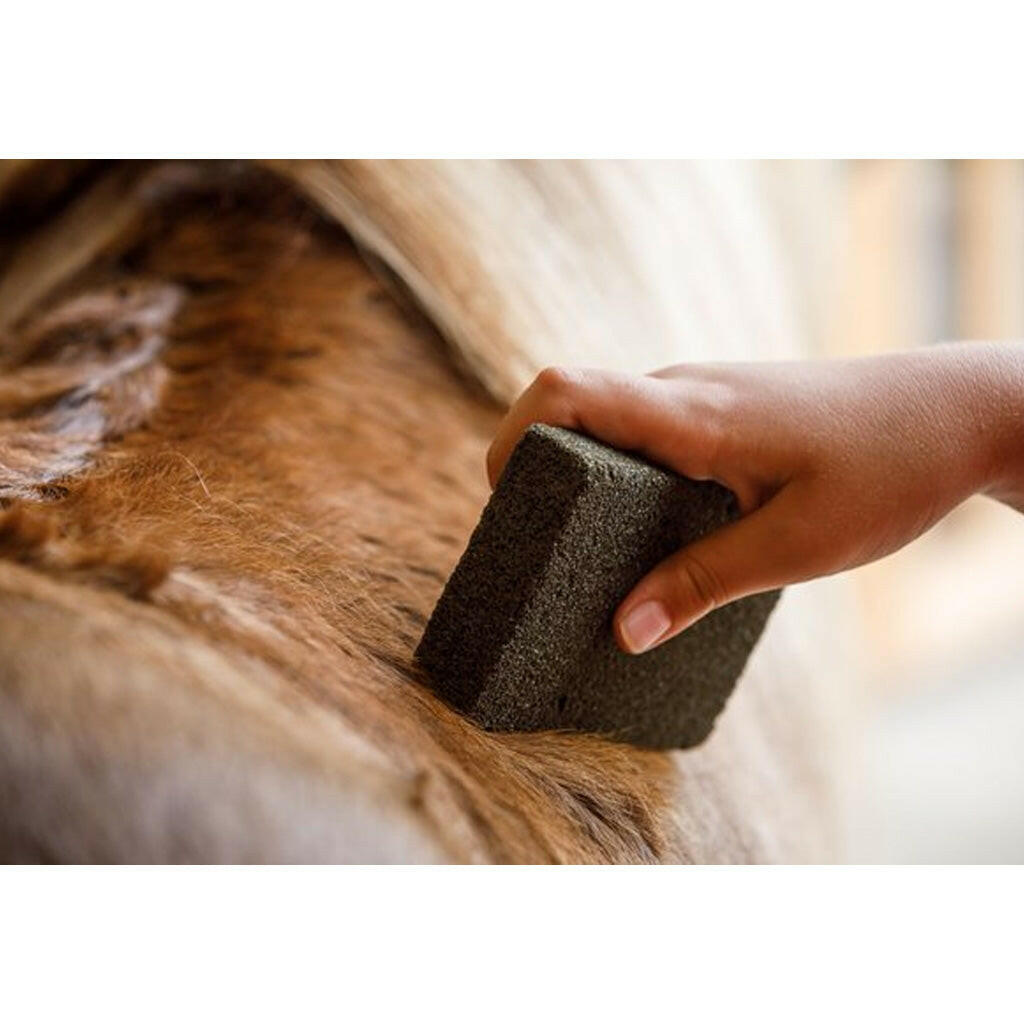 Farnam Slick 'N Easy Horse Grooming Block (1.25 oz)